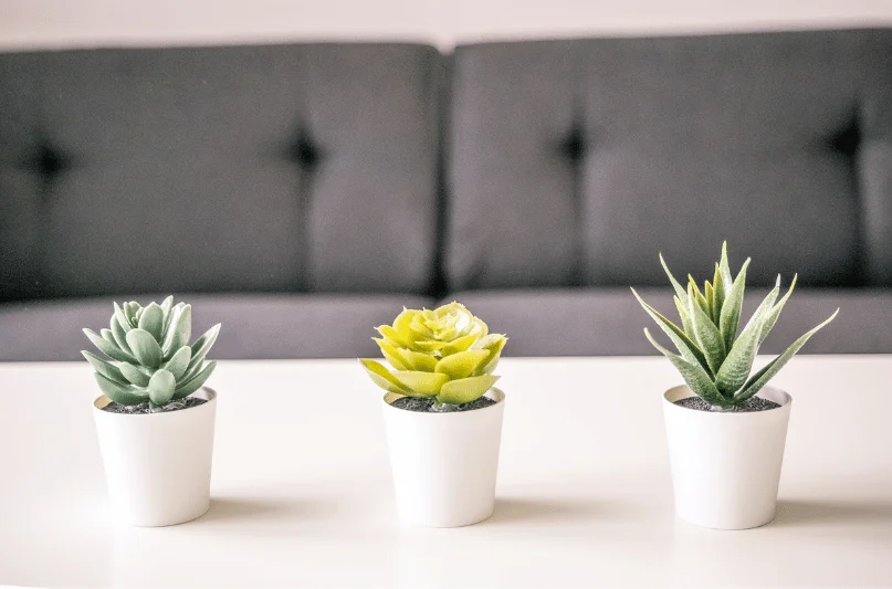 renovation maison haute savoie